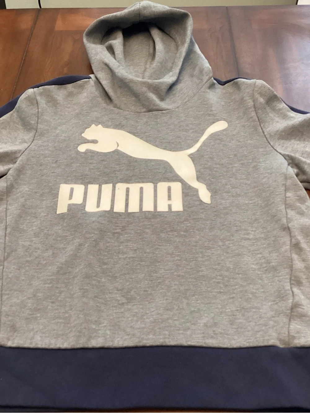 PUMA Men’s Gray Pullover Hooded Long Sleeve Sweatshirt Size M